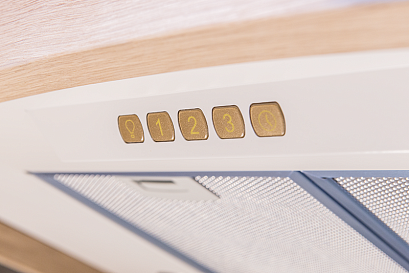 Кухонная вытяжка Kuppersberg DOMINIKA 90 CB (окрашенная сталь + массив дерева) preview 3